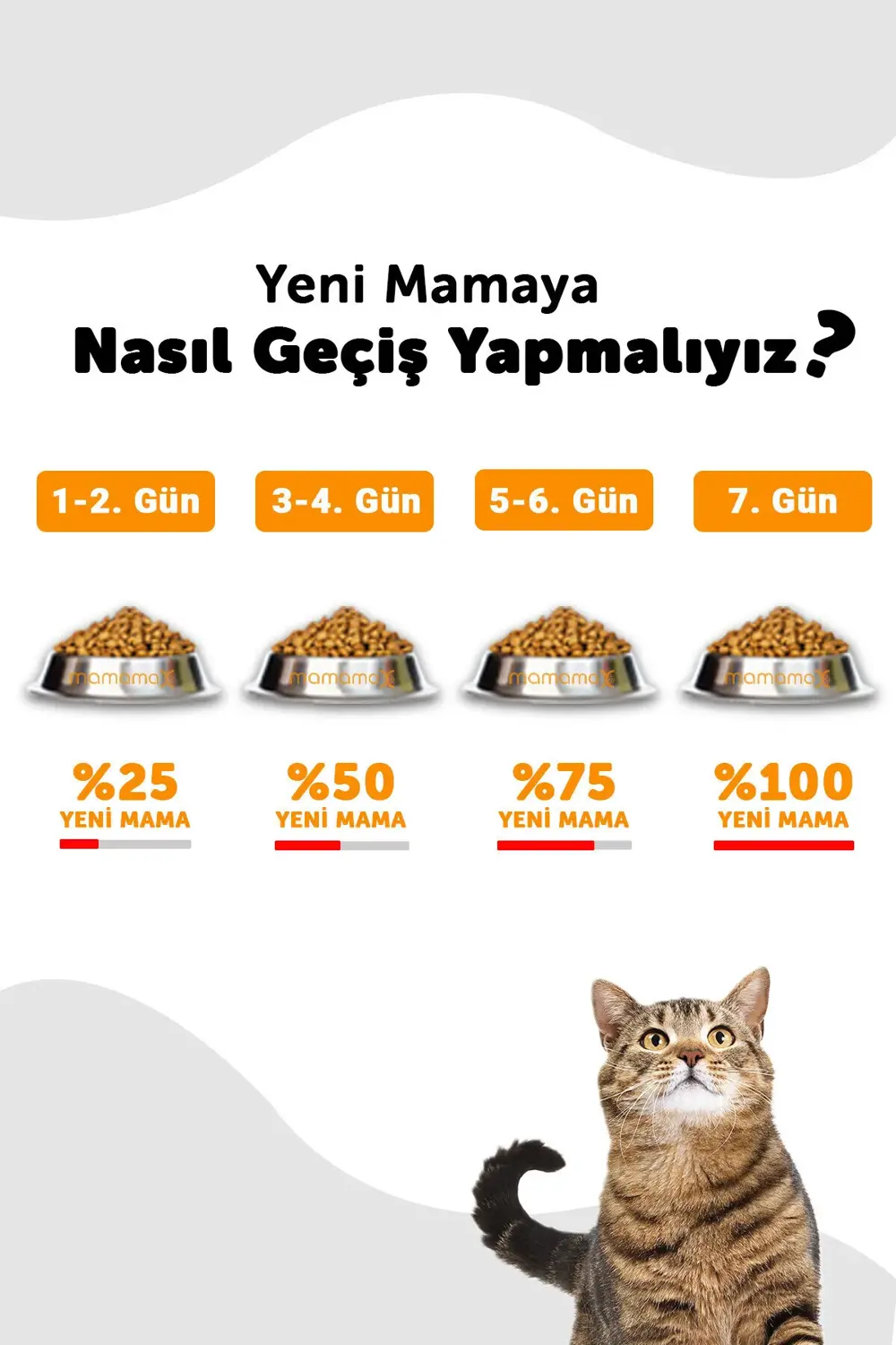 Kısırlaştırılmış Kuru Kedi Maması (Sterilised Adult) Kuzu Etli 12