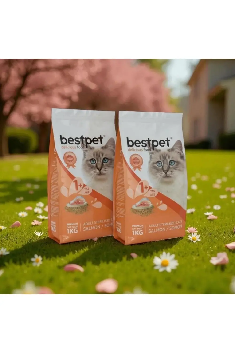 kısırlaştırılmış somonlu yetişkin kedi maması 1kg*2 adet