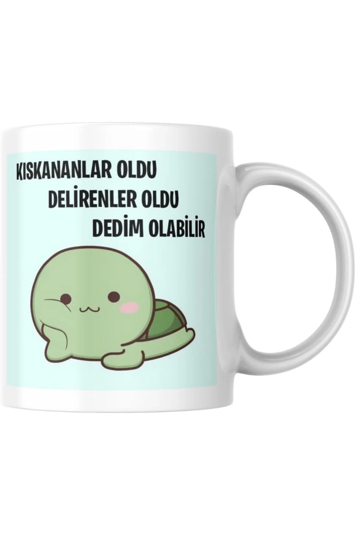 Kıskananlar Oldu Komik Yazılı Kupa Bardak Hediyelik Çay Kahve Kupası Coffee Mug