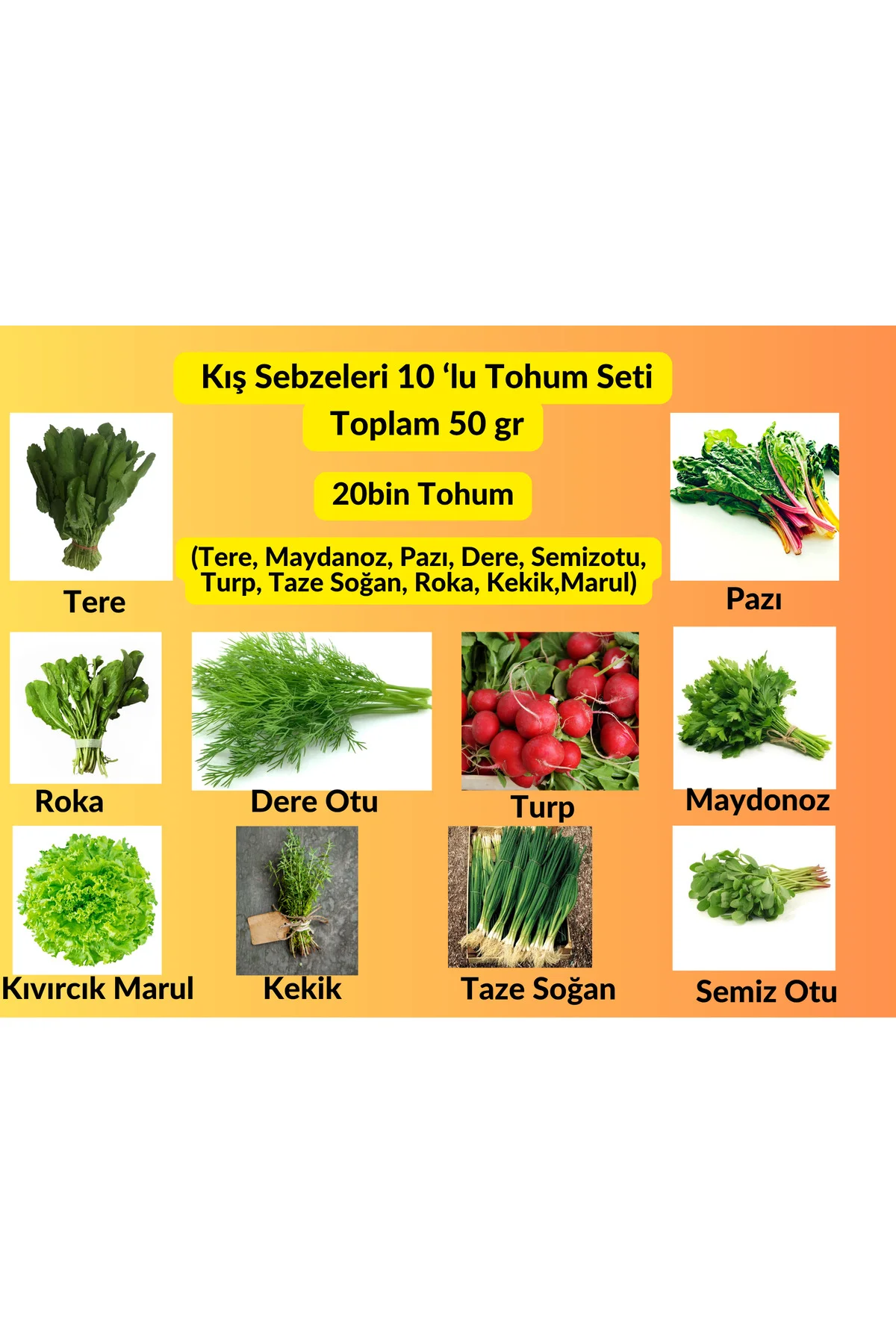 Kışlık Yeşillik Tohum Seti (10’lu Paket) | 50 gr | Yaklaşık 20.000 Adet Sebze Tohumu Kışlık Yeşillik Tohum Seti (10’lu Paket) | 50 gr | Yaklaşık 20.000 Adet Sebze Tohumu
