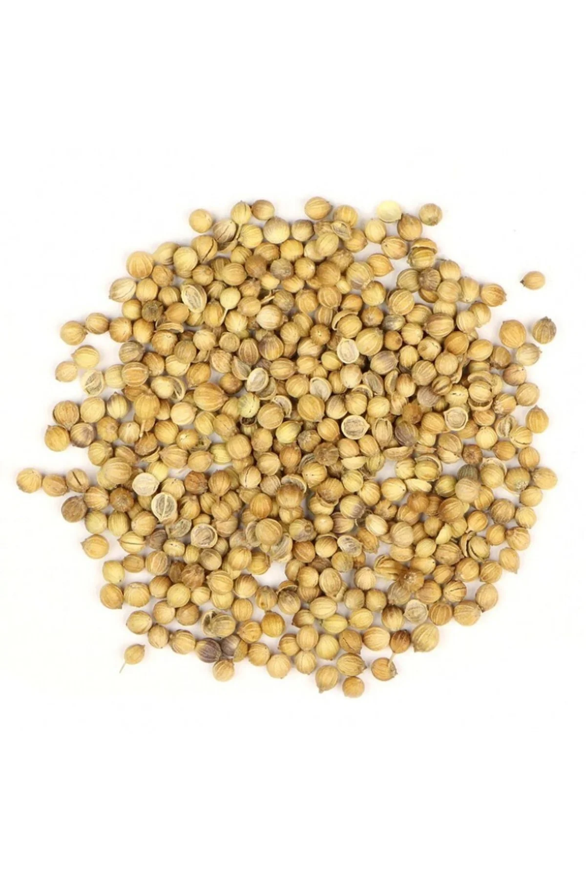 Kişniş Tohumu 100 Gr