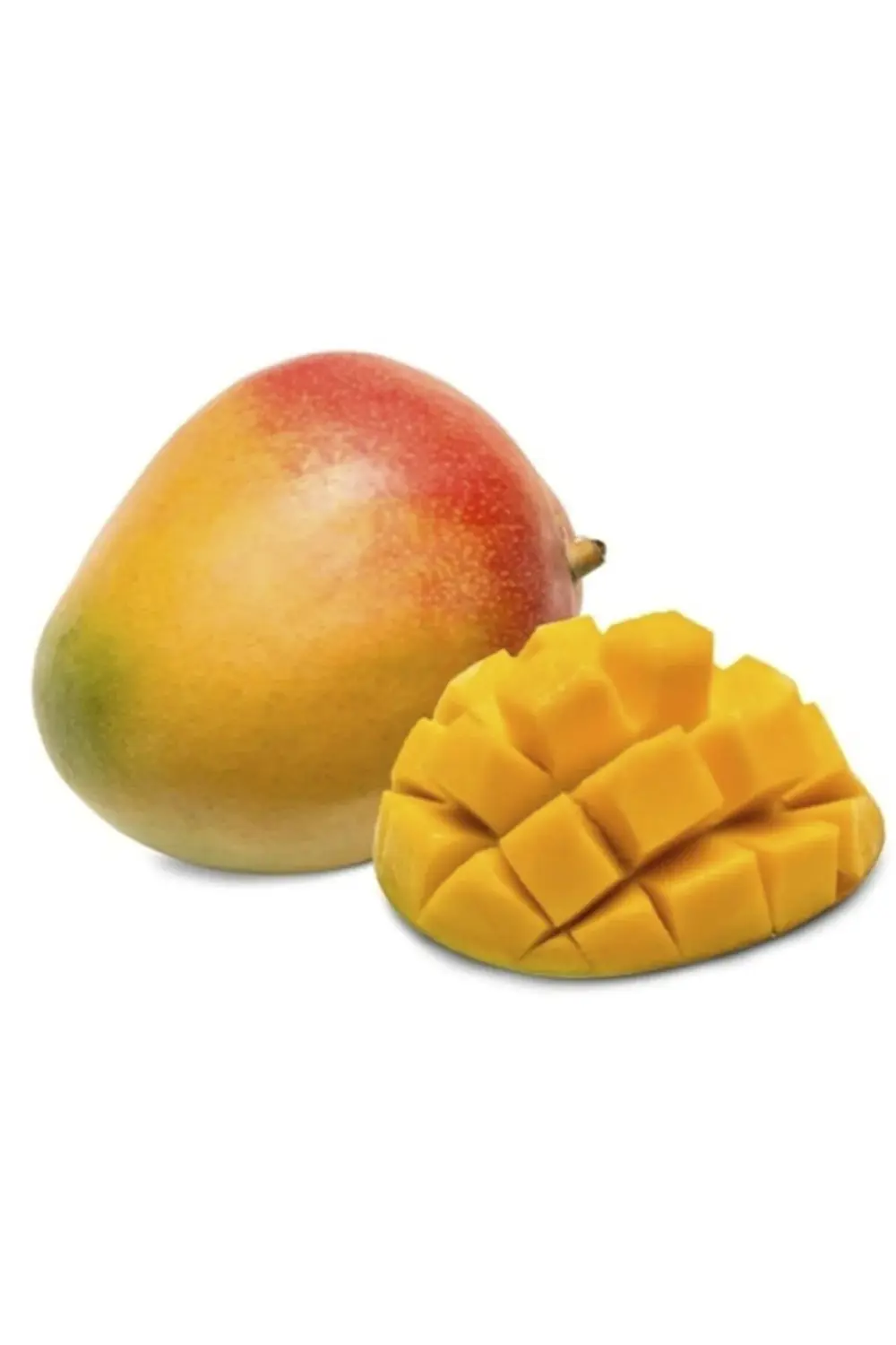 Kit Mango Fidanı 40 Cm 60 Cm