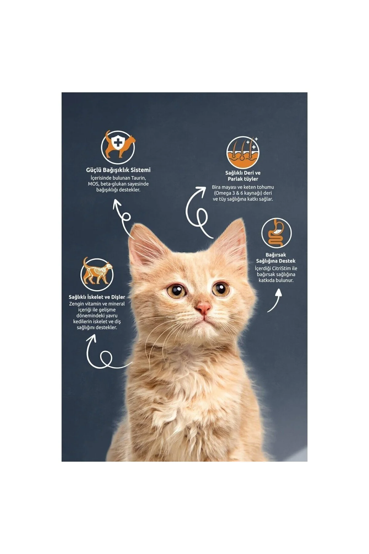 Kıtten Chıcken & Rıce Cat Food 10 kg