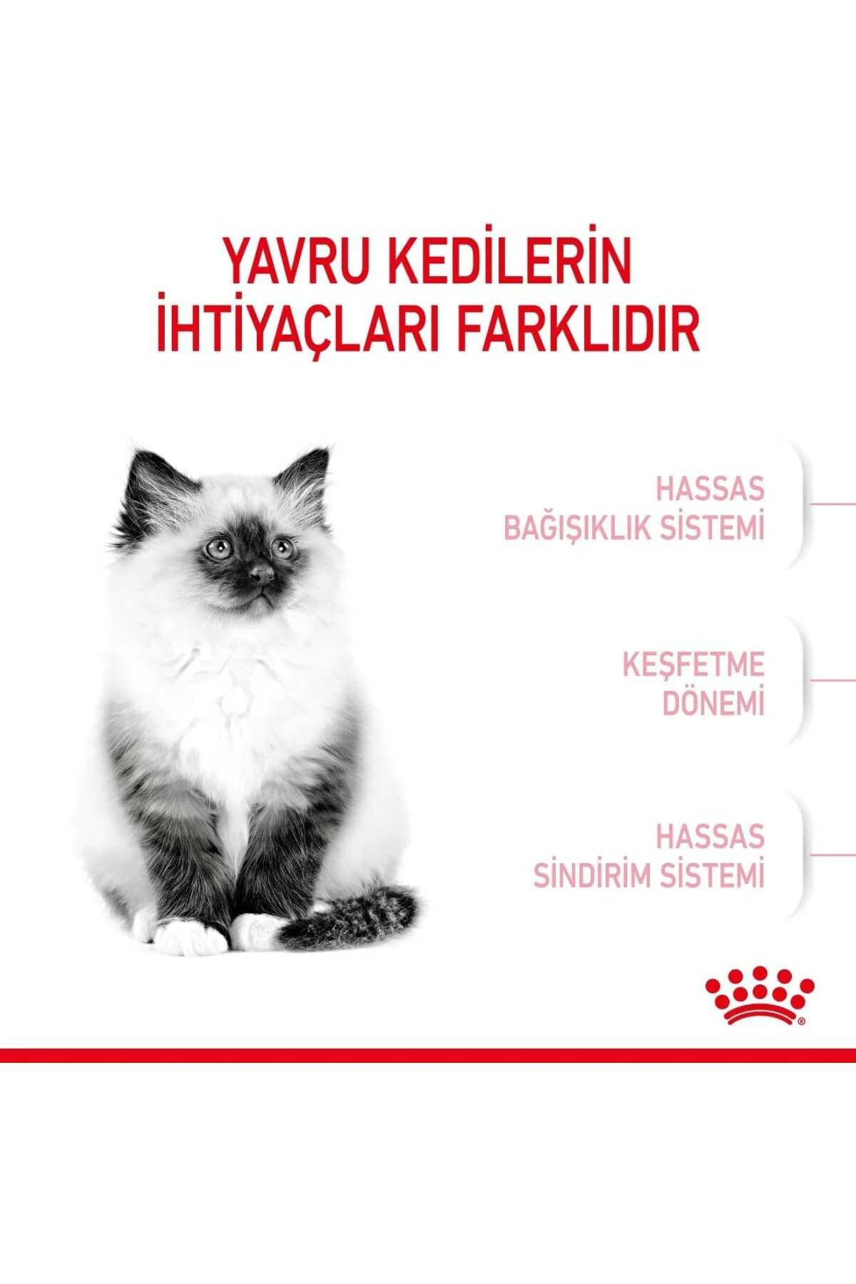 Kitten Kuru Kedi Maması, Yavru Kedi, 4 Kg Kitten Kuru Kedi Maması, Yavru Kedi, 4 Kg