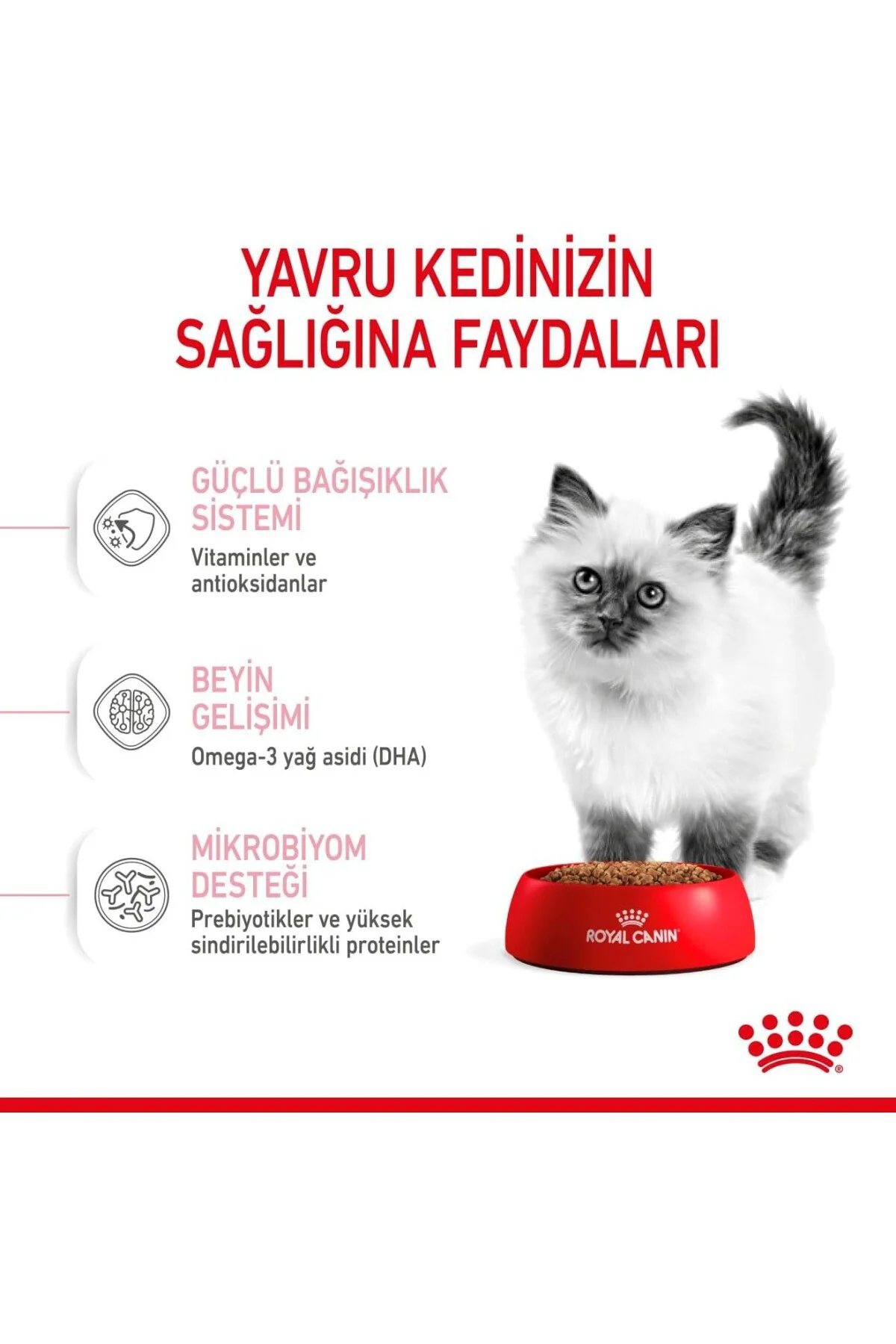 Kitten Kuru Kedi Maması, Yavru Kedi, 4 Kg Kitten Kuru Kedi Maması, Yavru Kedi, 4 Kg