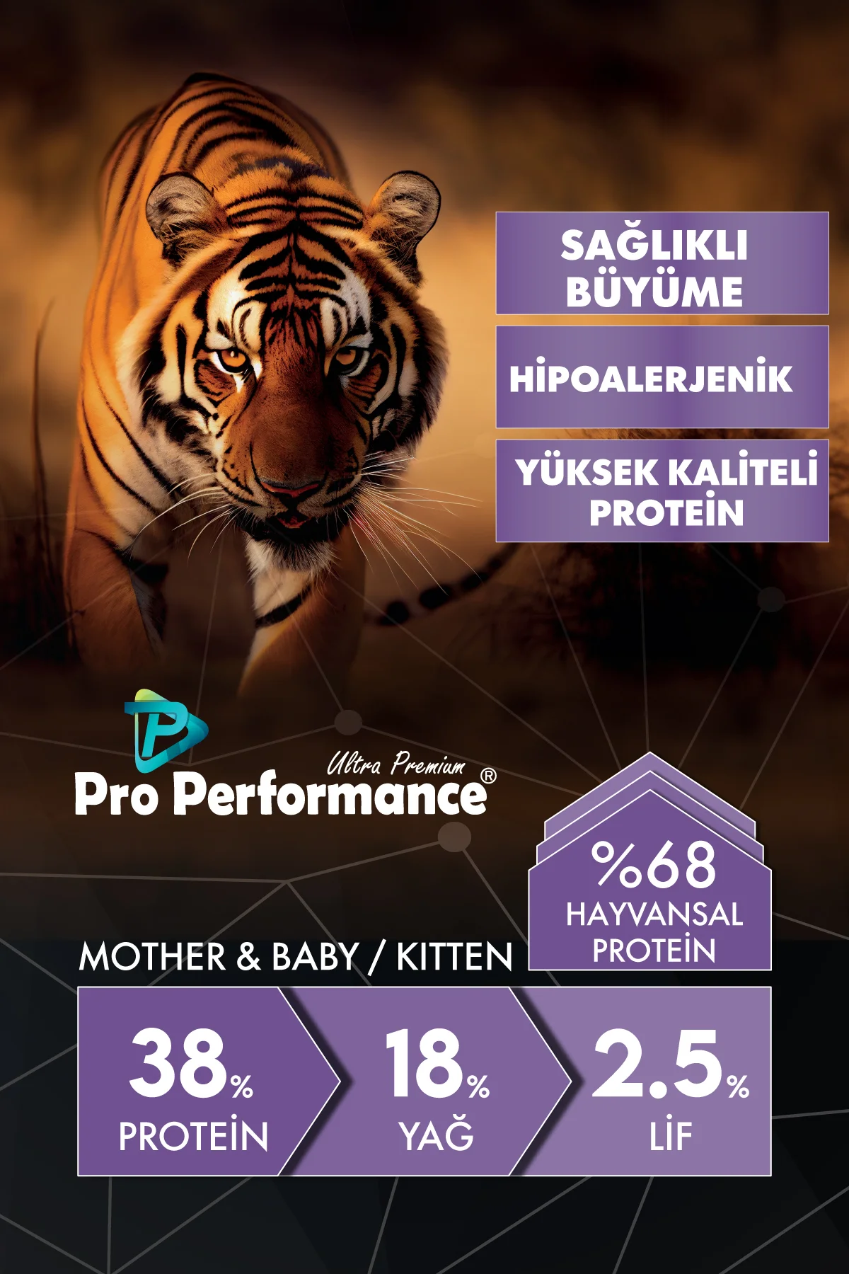 Kitten Lamb & Rice 2 Kg