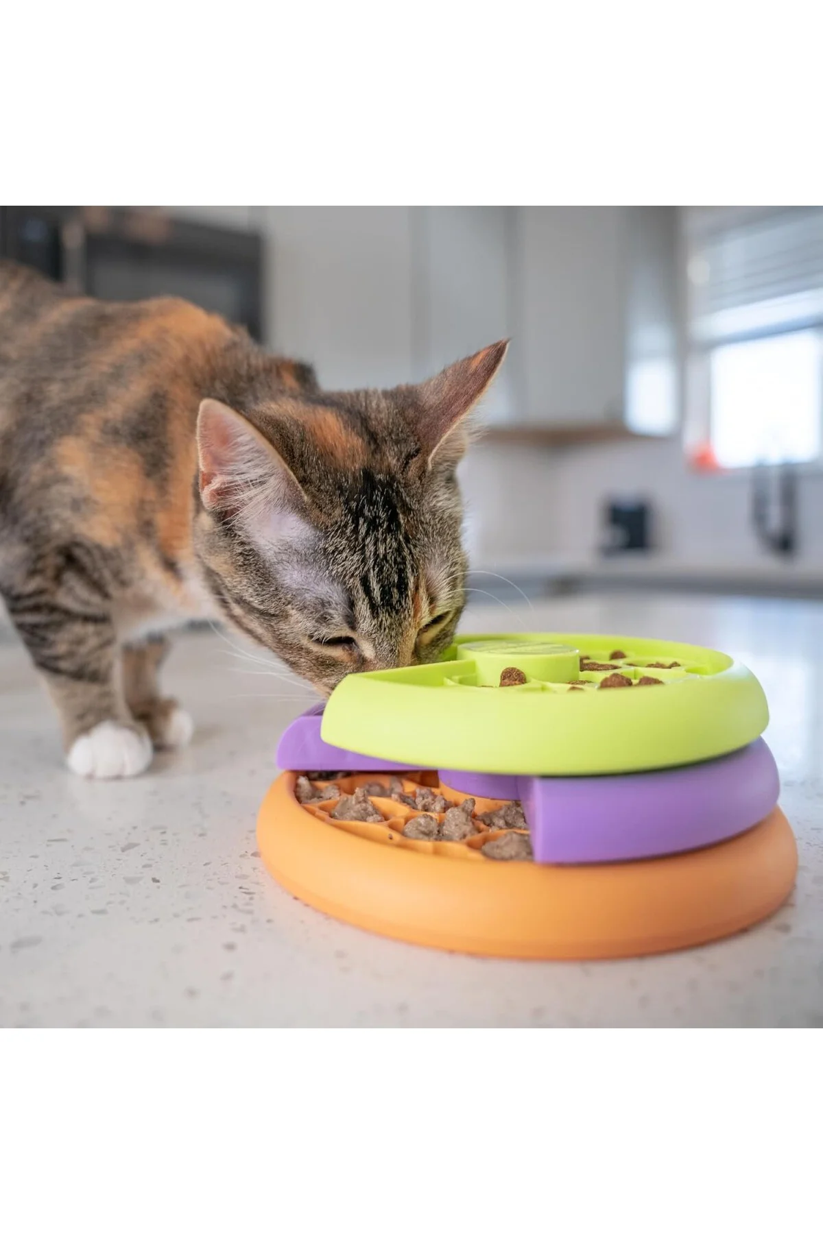 Kitty Lickin' Layers Çok Katmanlı Kedi Eğlenceli Besleyici Kedi T