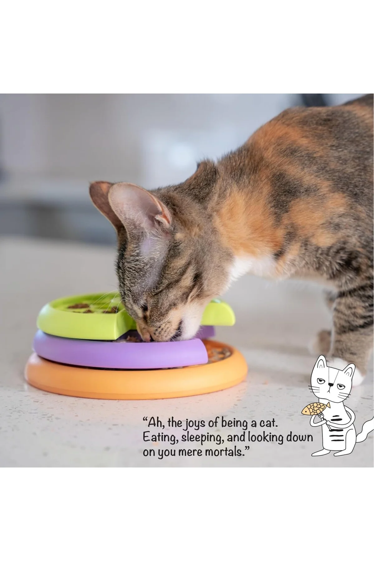 Kitty Lickin' Layers Çok Katmanlı Kedi Eğlenceli Besleyici Kedi T