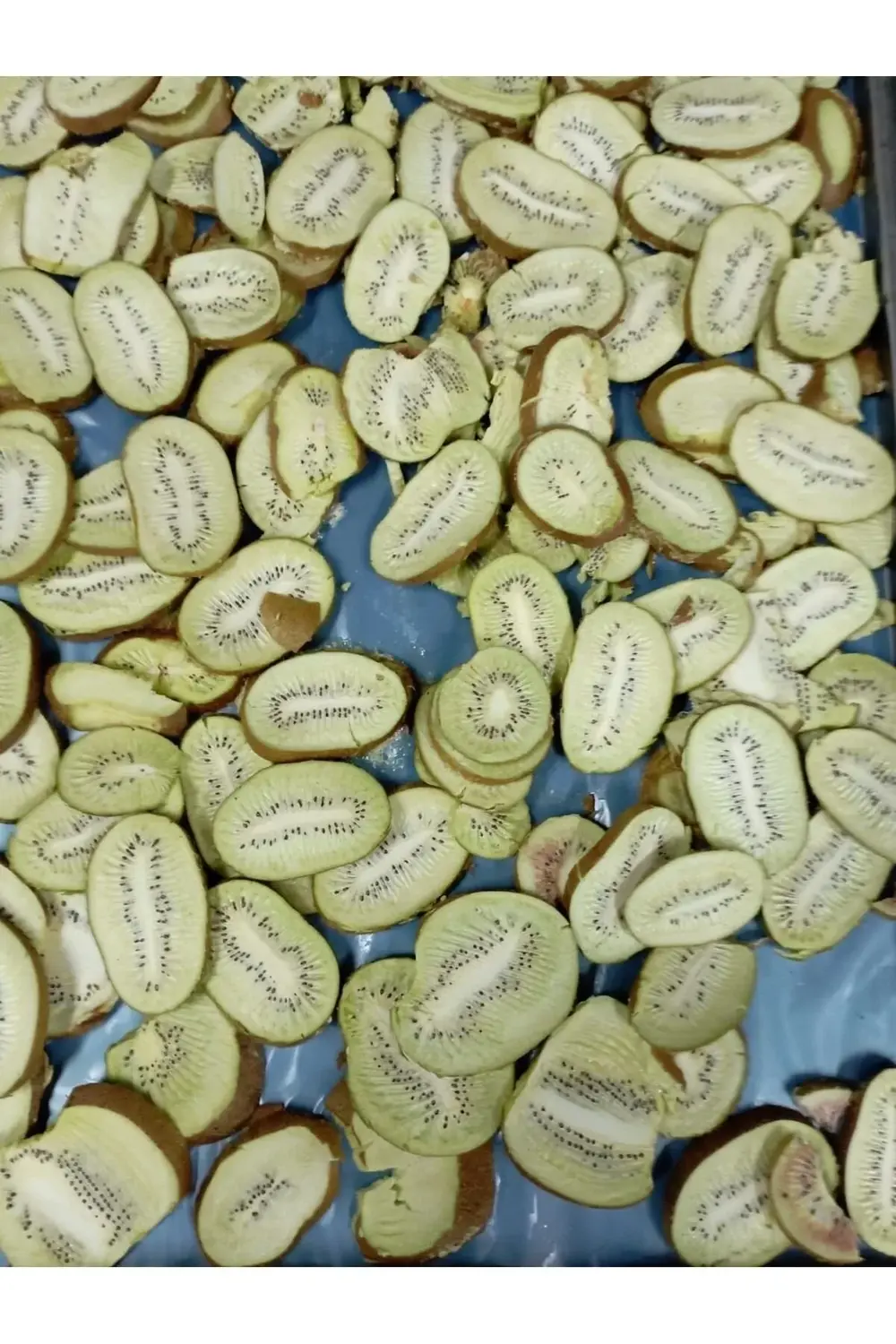 Kivi Kıtırı - Freeze Dried - Üretici Firmadan Dondurularak Kurutu