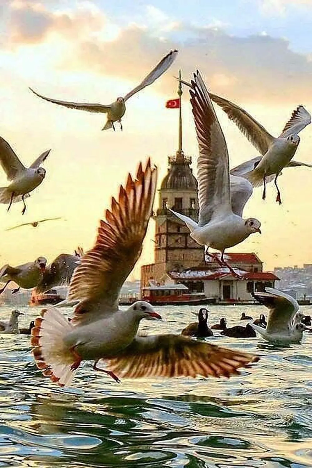 Kız Kulesi Tasarımlı Ahşap Poster