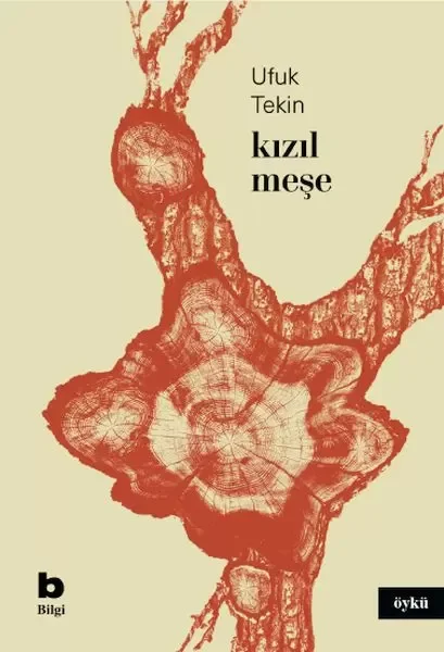 Kızıl Meşe Fiyatı, Yorumları ve Özellikleri