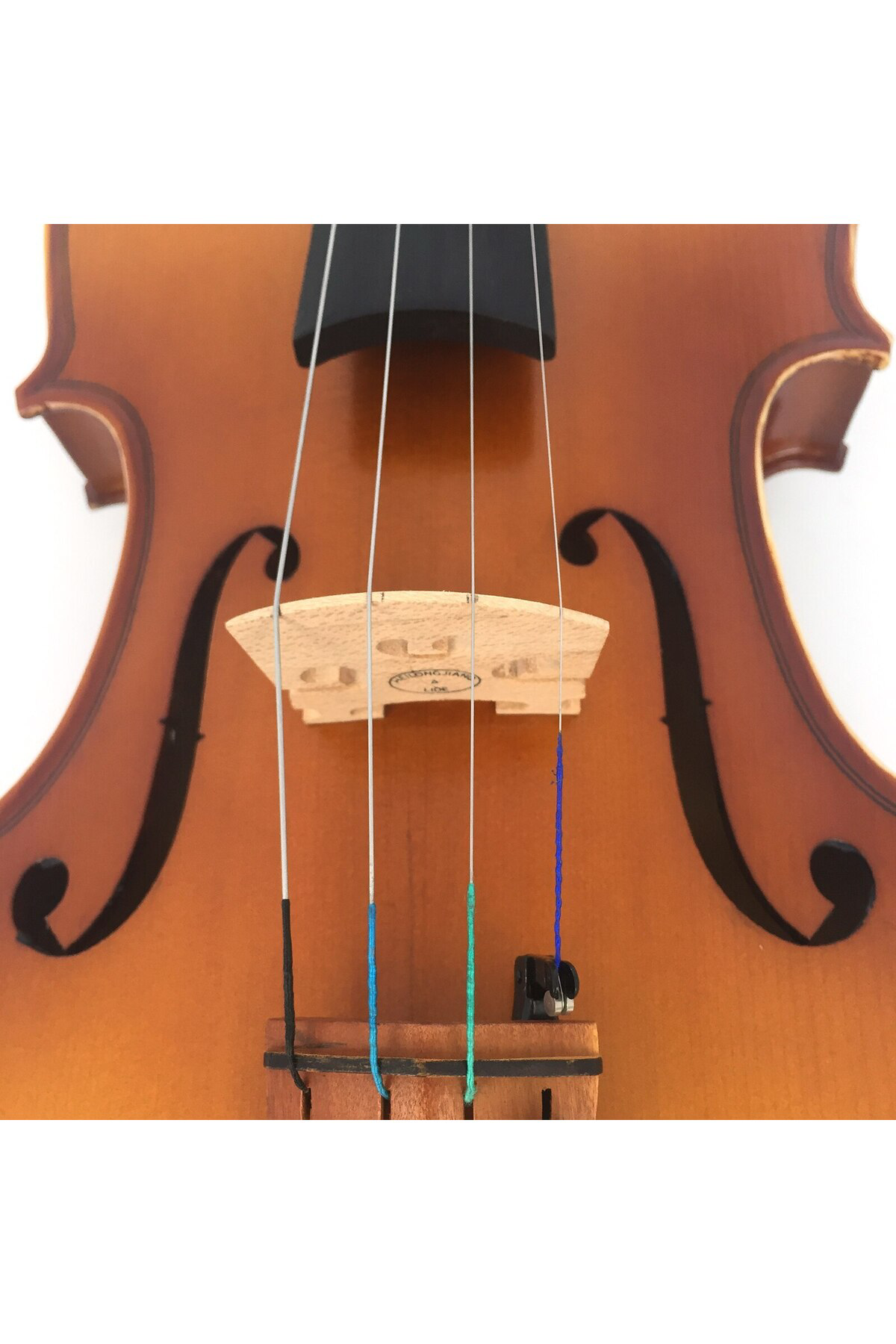 Kinglos Kng Pja-1003 Öğrenci Kemani Mat 4/4 Kutulu, Ön Ladin, Arka Ve