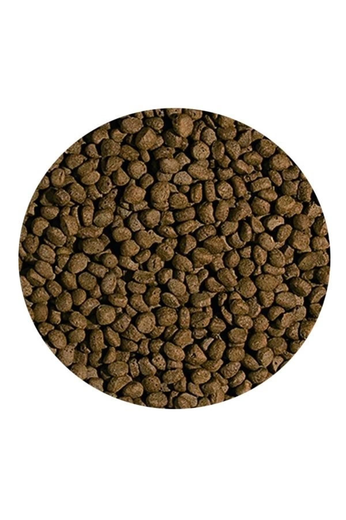 Koi Wheat Germ & Garlic Size M 1000ml 320gr
