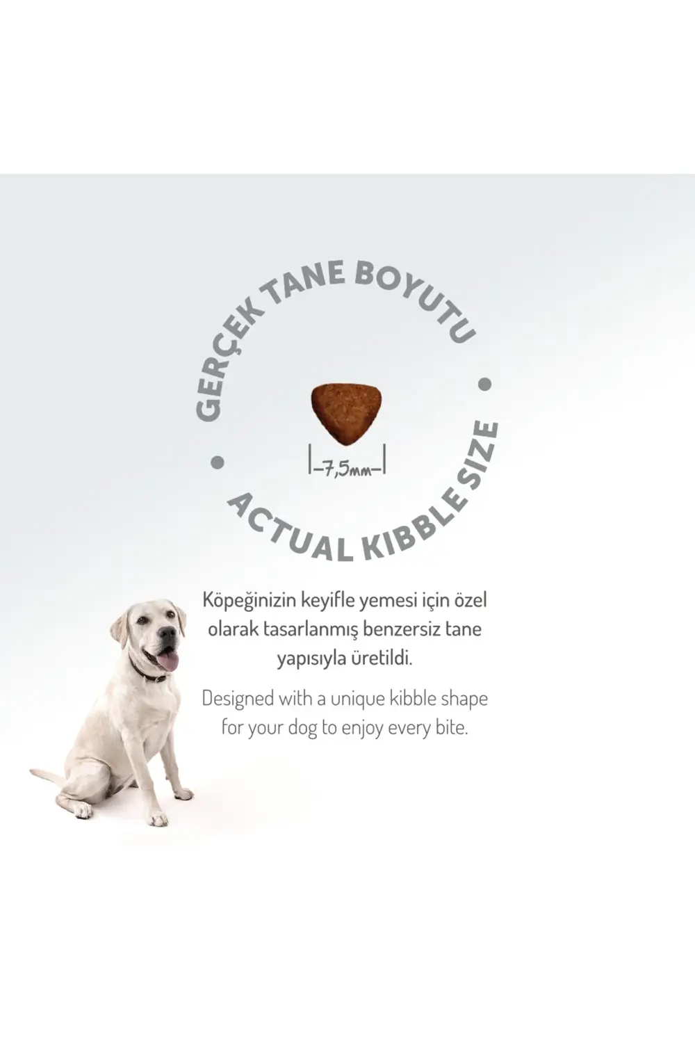 Kolajen Destekli Hipoalerjenik Kuzulu Yavru Köpek Maması 3KG