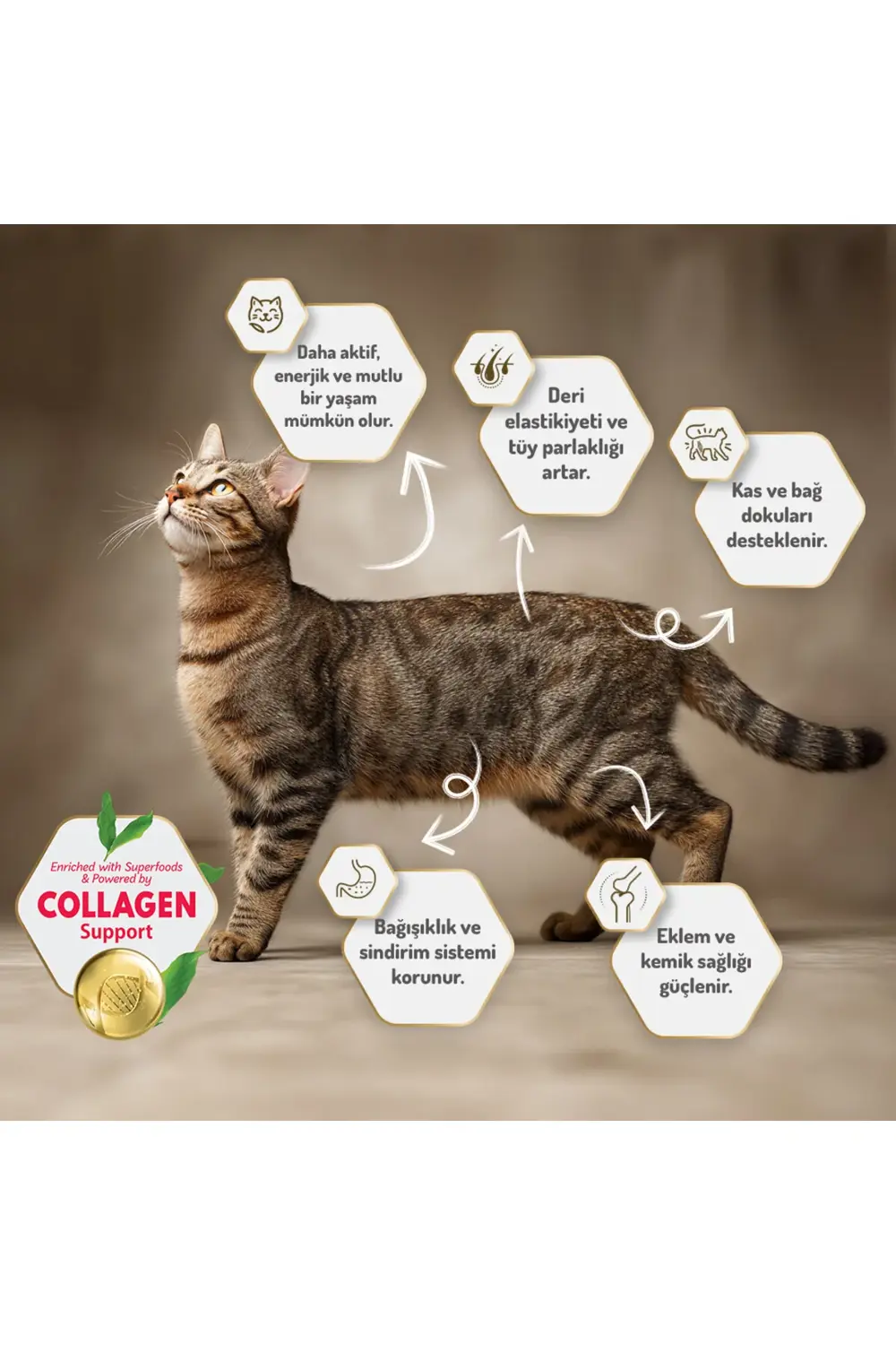 Kolajen Destekli Hipoalerjenik Kuzulu Yavru ve Anne Kedi Maması 2