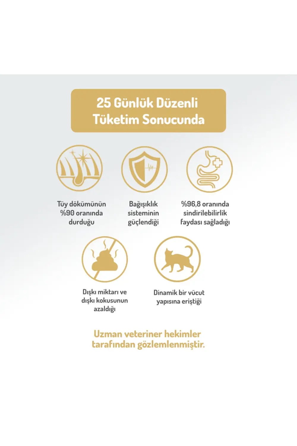 Kolajen Destekli Hipoalerjenik Kuzulu Yavru ve Anne Kedi Maması 2