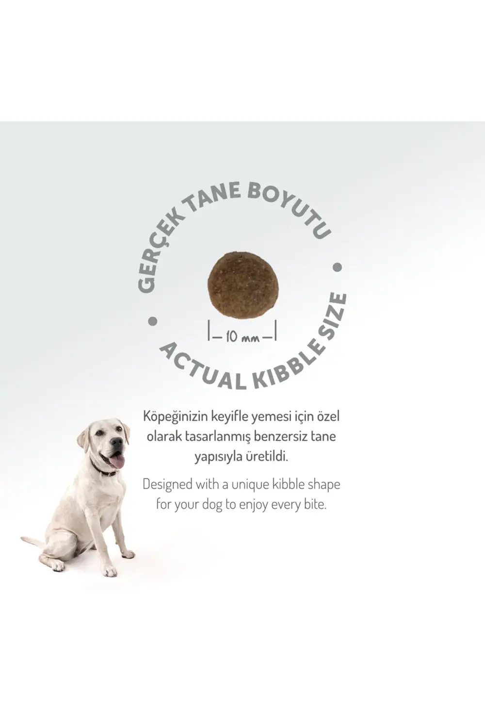 Kolajen Destekli Hipoalerjenik Somonlu Yetişkin Küçük Irk Köpek M