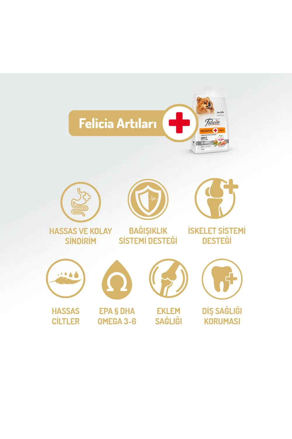 Kolajen Destekli Hipoalerjenik Somonlu Yetişkin Küçük Irk Köpek M