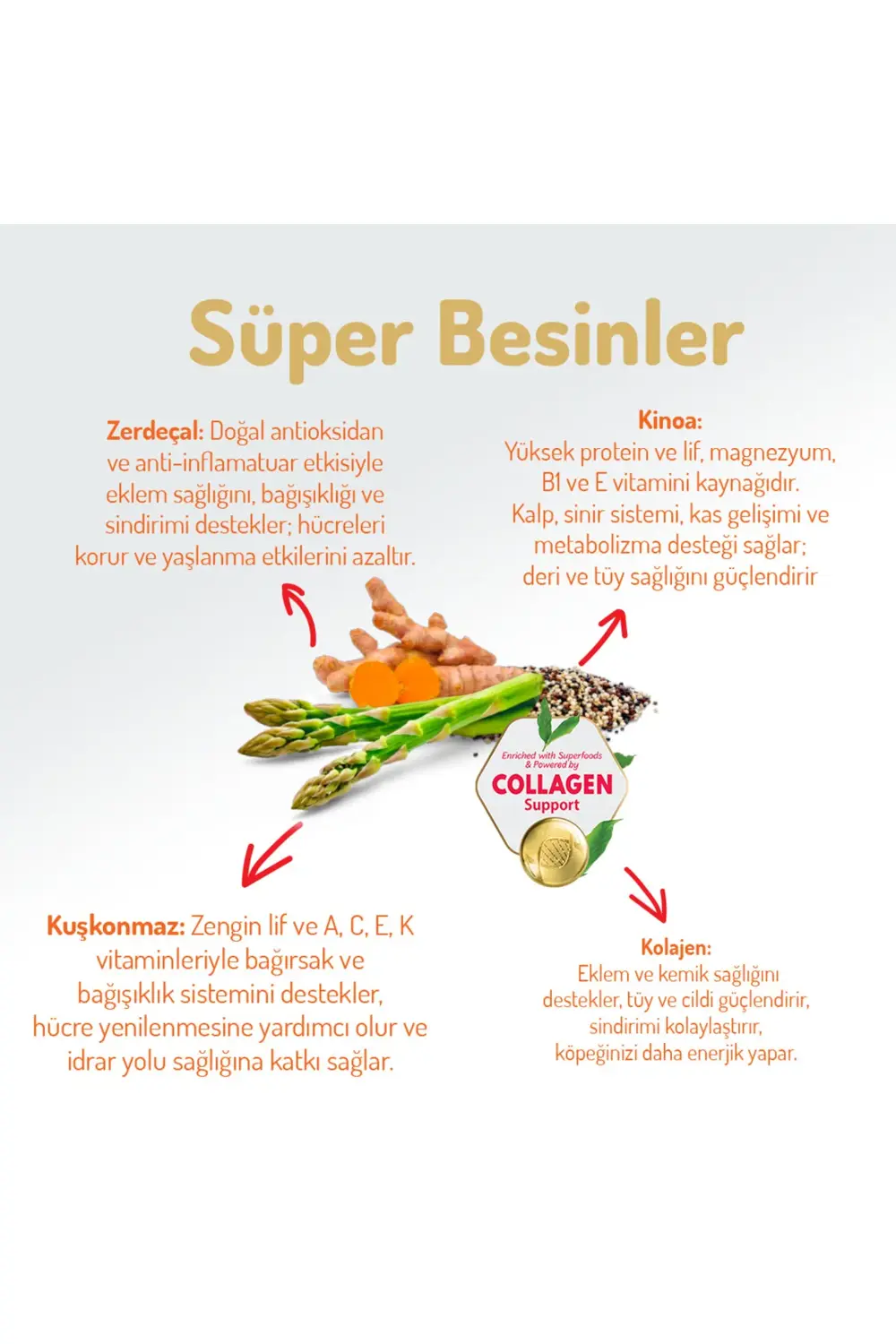 Kolajen Destekli Hipoalerjenik Somonlu Yetişkin Küçük Irk Köpek M