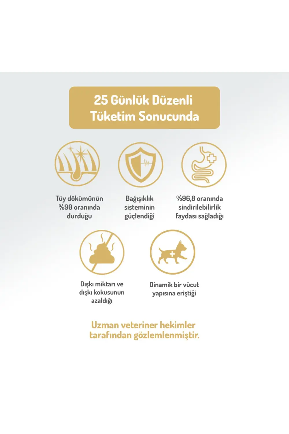 Kolajen Destekli Hipoalerjenik Somonlu Yetişkin Küçük Irk Köpek M