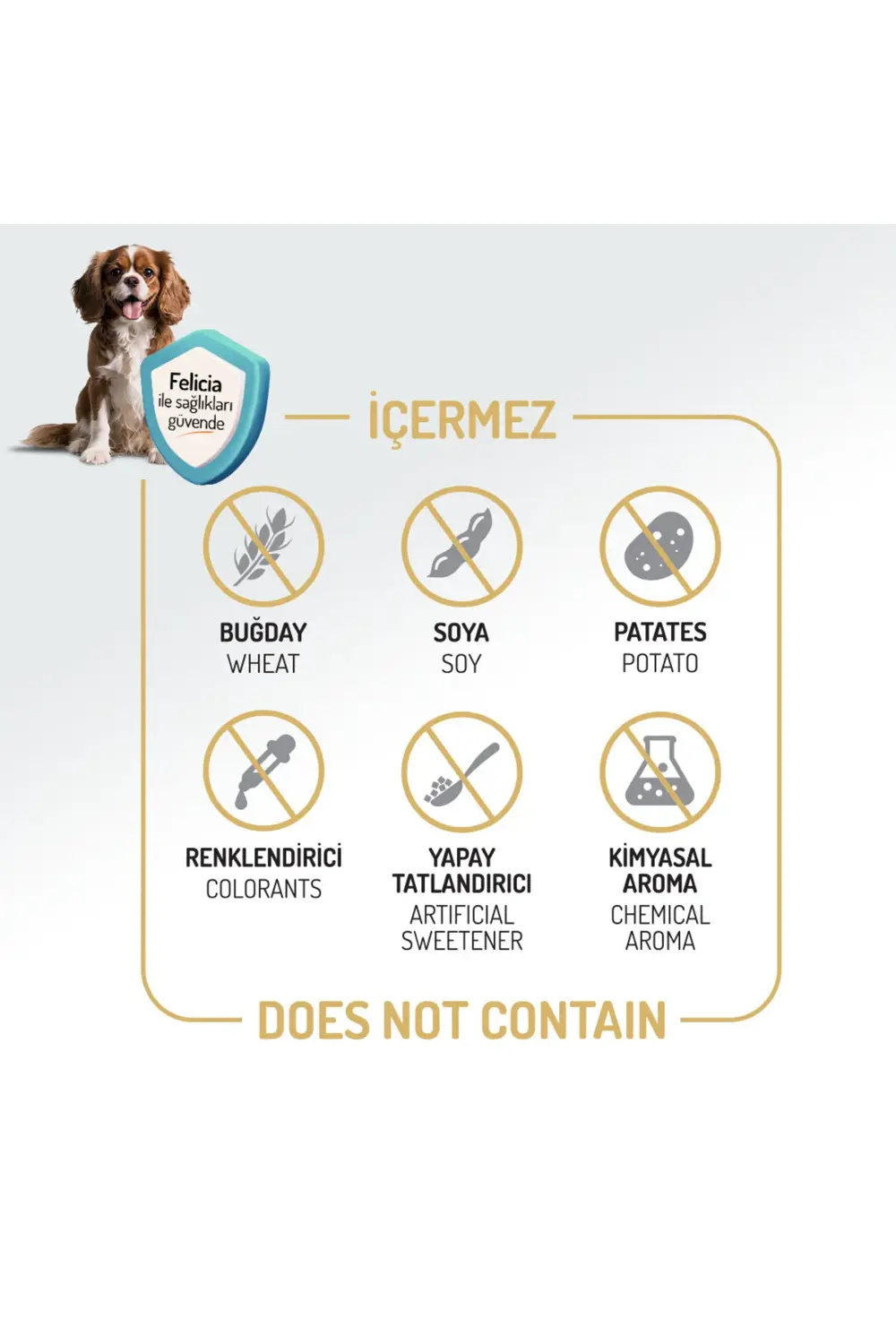 Kolajen Destekli Hipoalerjenik Somonlu Yetişkin Küçük Irk Köpek M