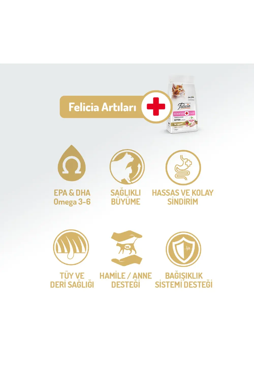 Kolajen Destekli Hipoalerjenik Tavuklu Yavru Kedi Maması 2KG