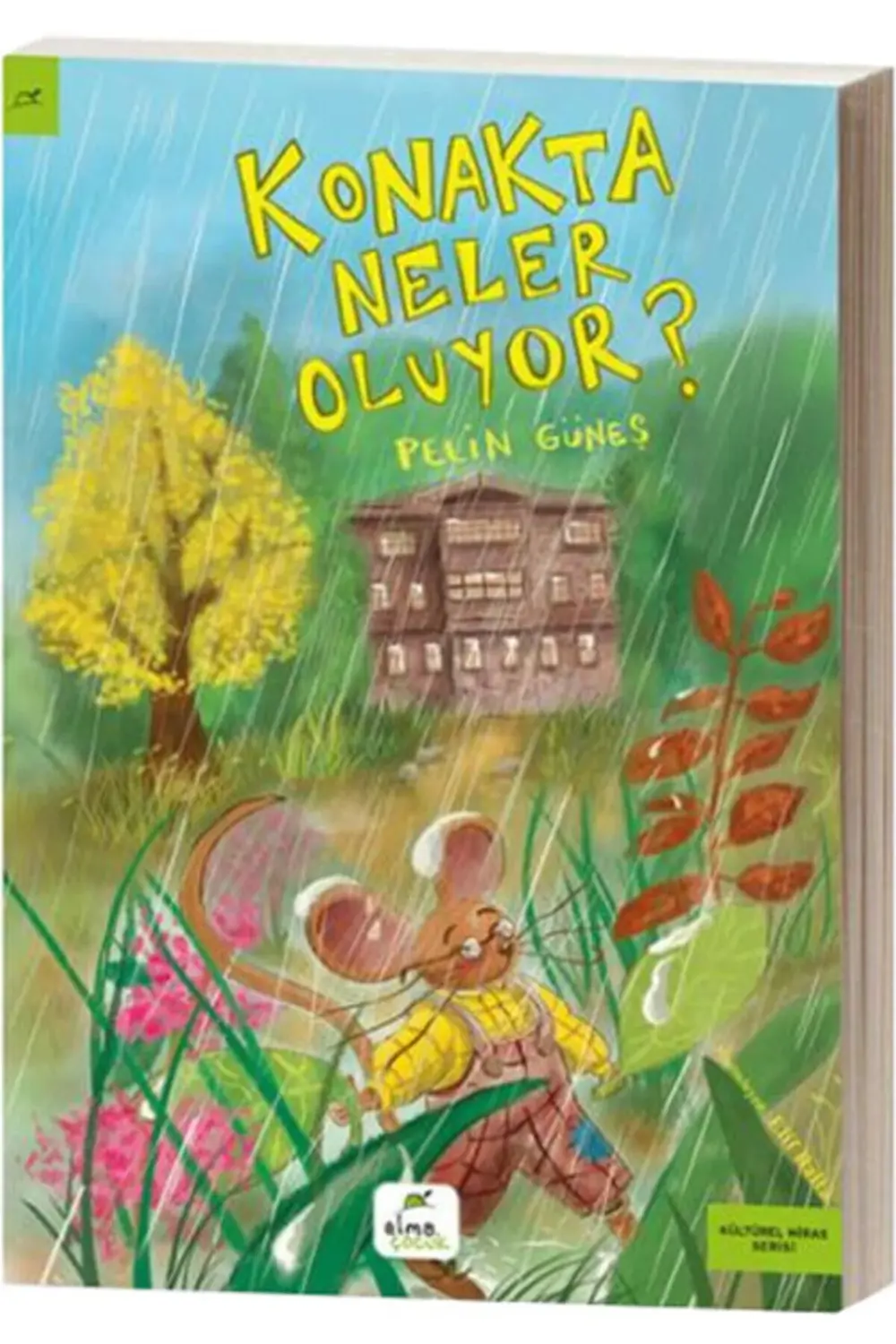Konakta Neler Oluyor
