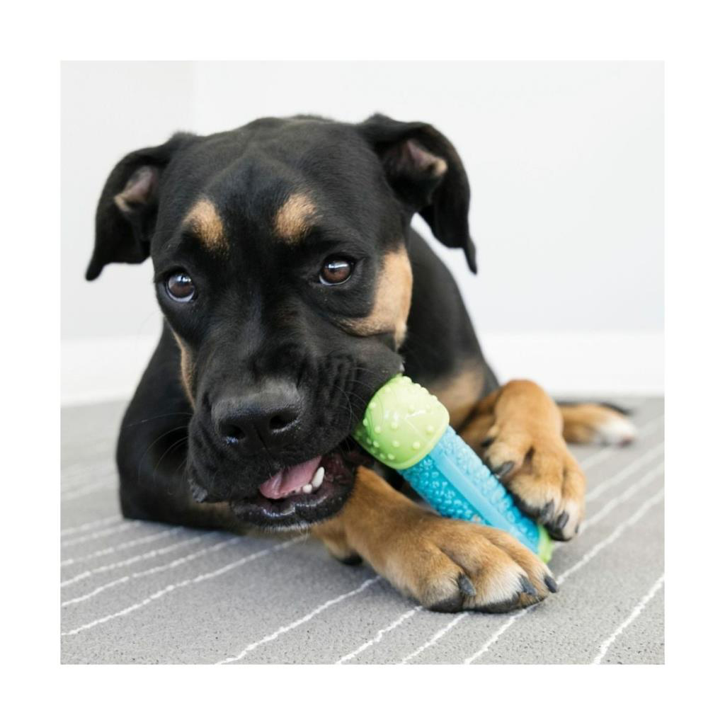 Kong Core Strength Kemik Şeklinde Köpek Oyuncağı M/L Kong Core Strength Kemik Şeklinde Köpek Oyuncağı M/L