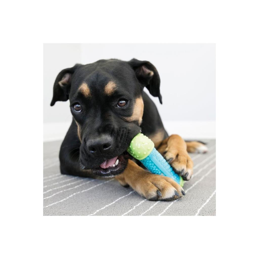 Kong Core Strength Kemik Şeklinde Köpek Oyuncağı S/M Kong Core Strength Kemik Şeklinde Köpek Oyuncağı S/M