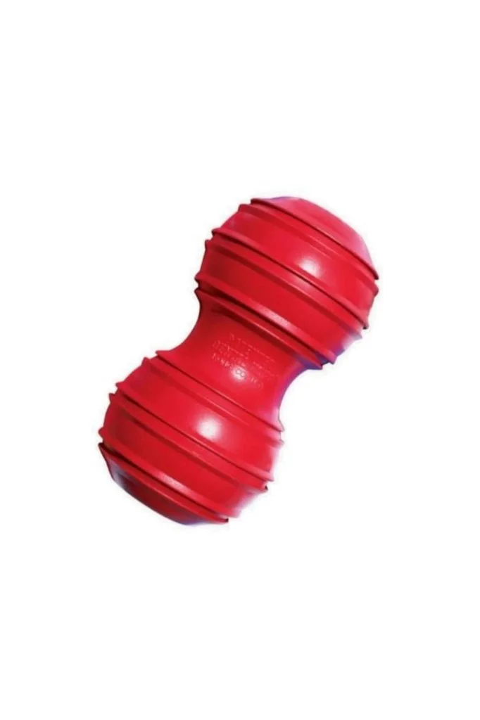 Kong Dental Stick Diş Temizliği Sağlayan Köpek Oyuncağı Large