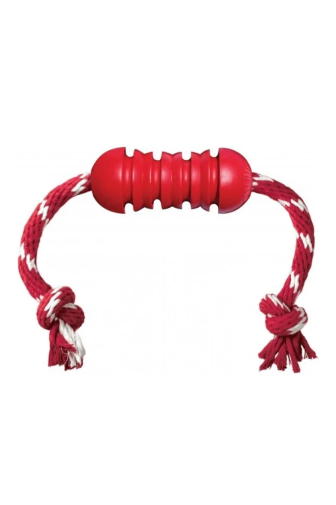 Kong Dental Stick Diş Temizliği Sağlayan İp Sallantılı Köpek Oyun