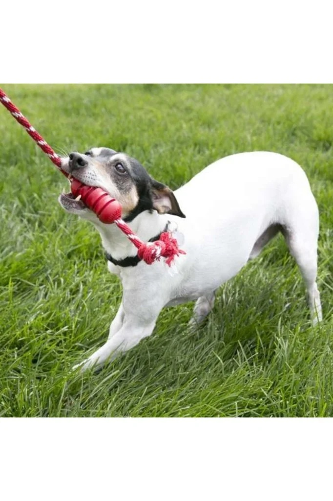 Kong Dental Stick Diş Temizliği Sağlayan İp Sallantılı Köpek Oyun