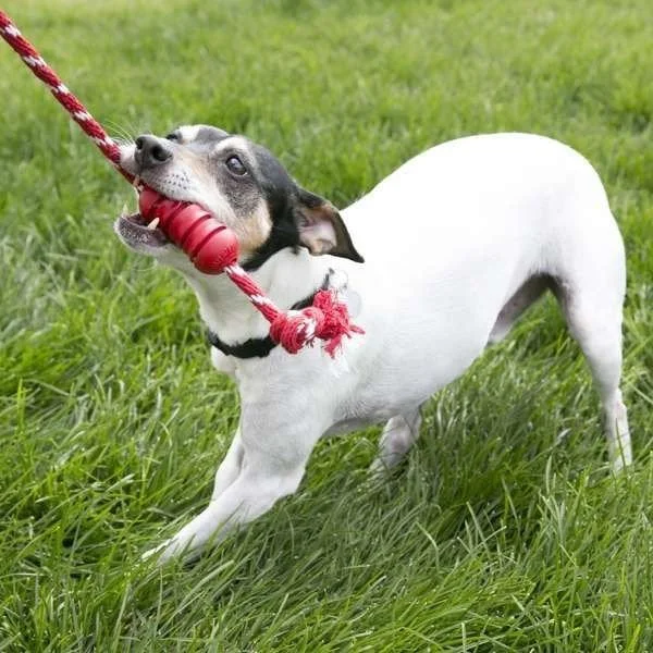 Kong Dental Stick Diş Temizliği Sağlayan Köpek Oyuncağı Medium
