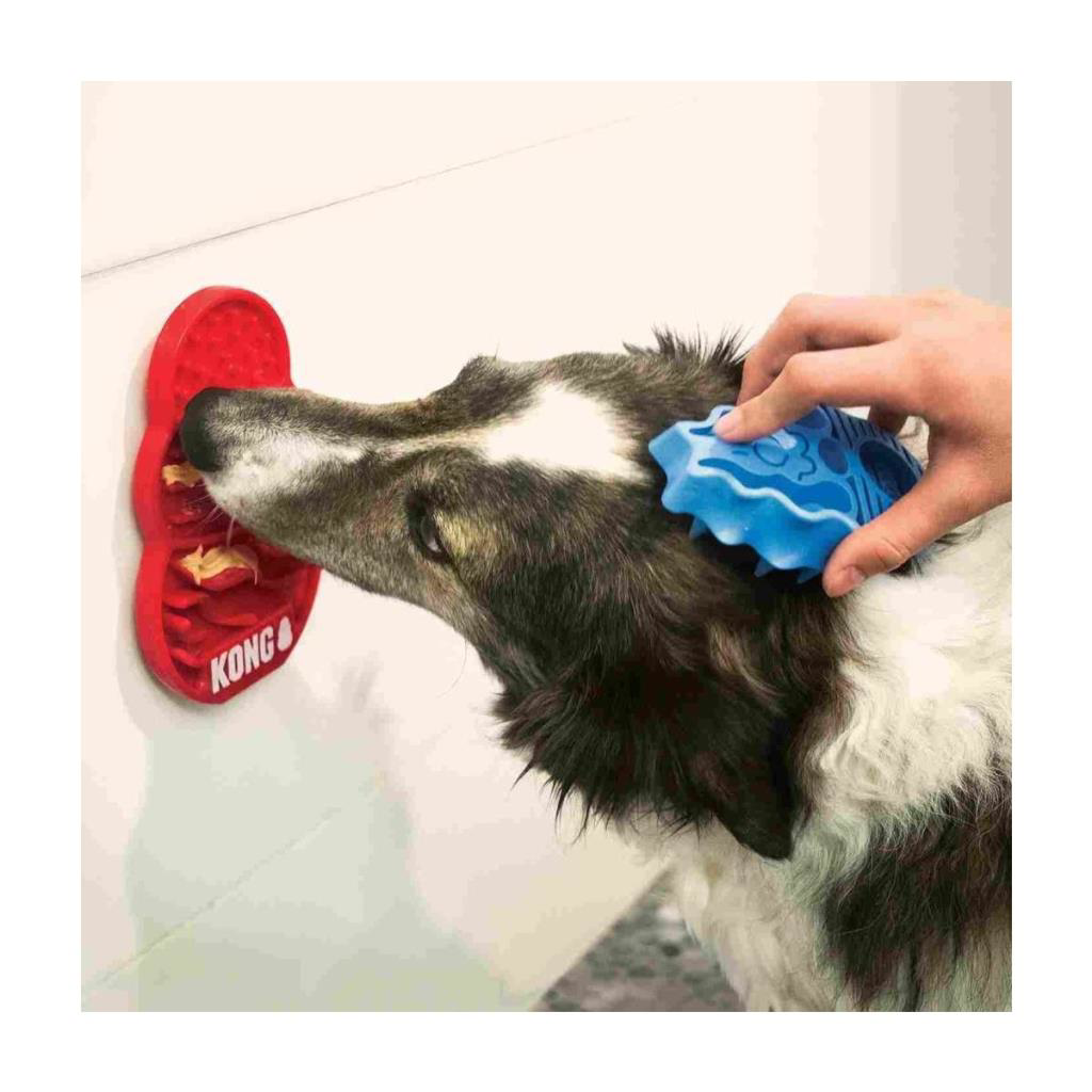 Kong Licks Sıvı Ödül Maması Köpek Oyuncağı Small