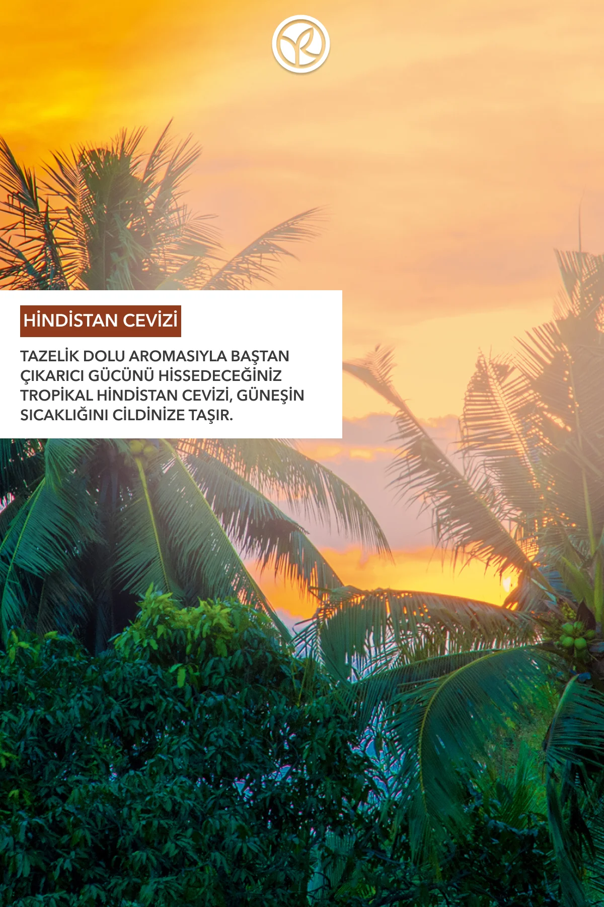 Konsantre Duş Jeli - Nemlendirici Tropikal Hindistan Cevizi -SLS,