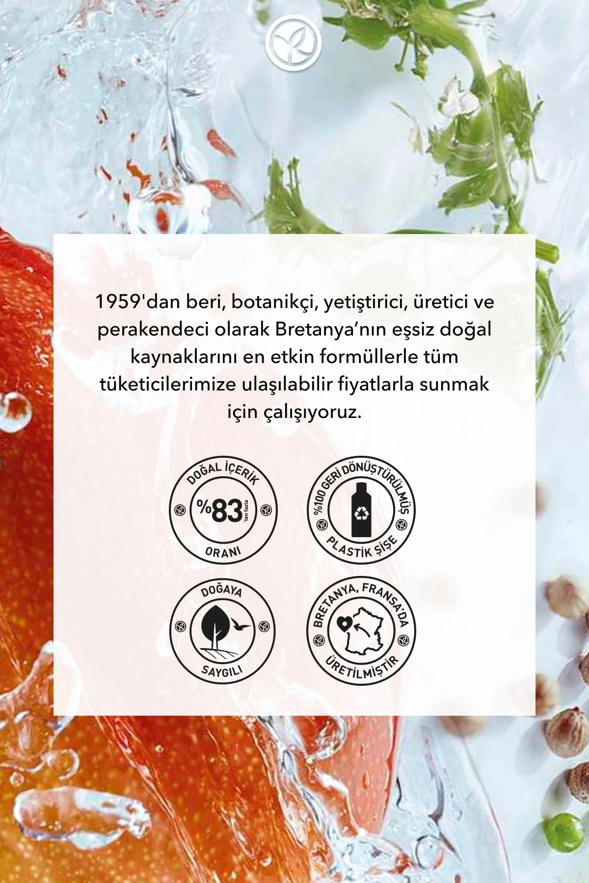 Konsantre Duş Jeli - Nemlendirici Canlandırıcı Mango & Kişniş-SLS