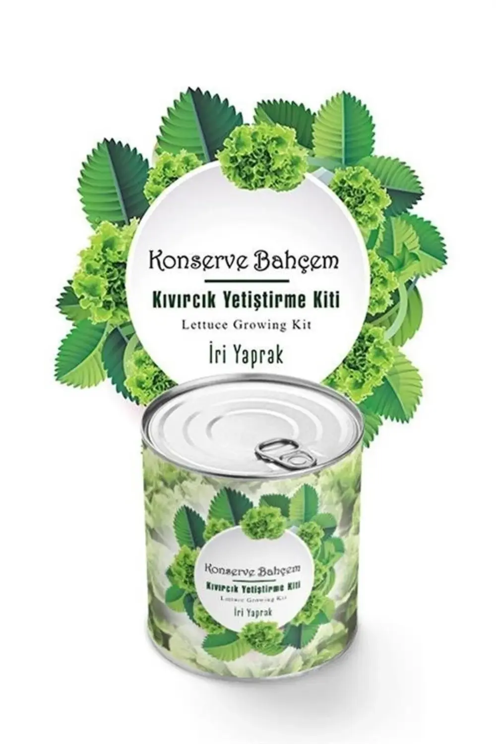 ® Konserve Bahçem Evde Konservede İri Yapraklı Kıvırcık Yetiştirm