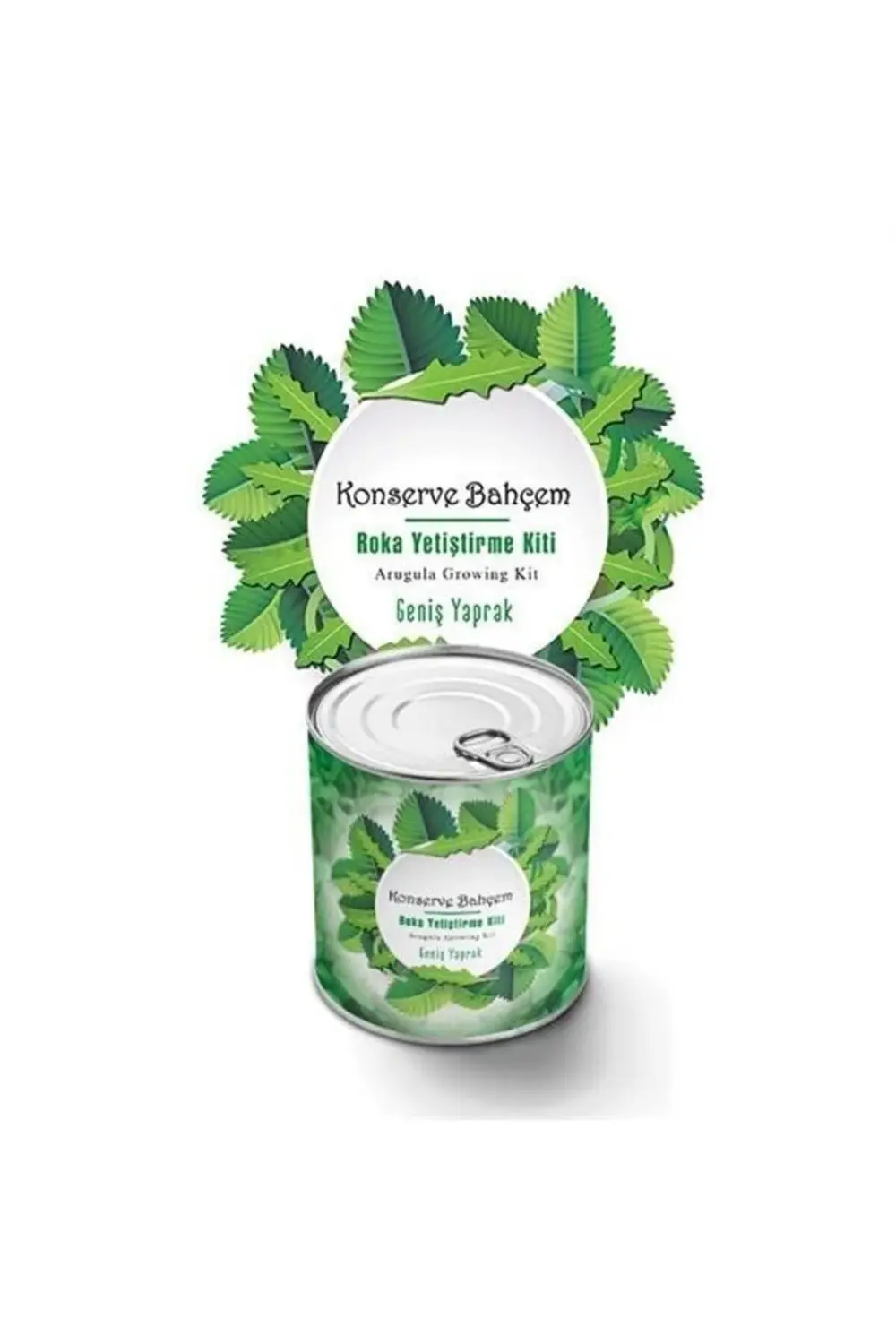 ® Konserve Bahçem Evde Konservede İri Yapraklı Roka Yetiştirme Ki