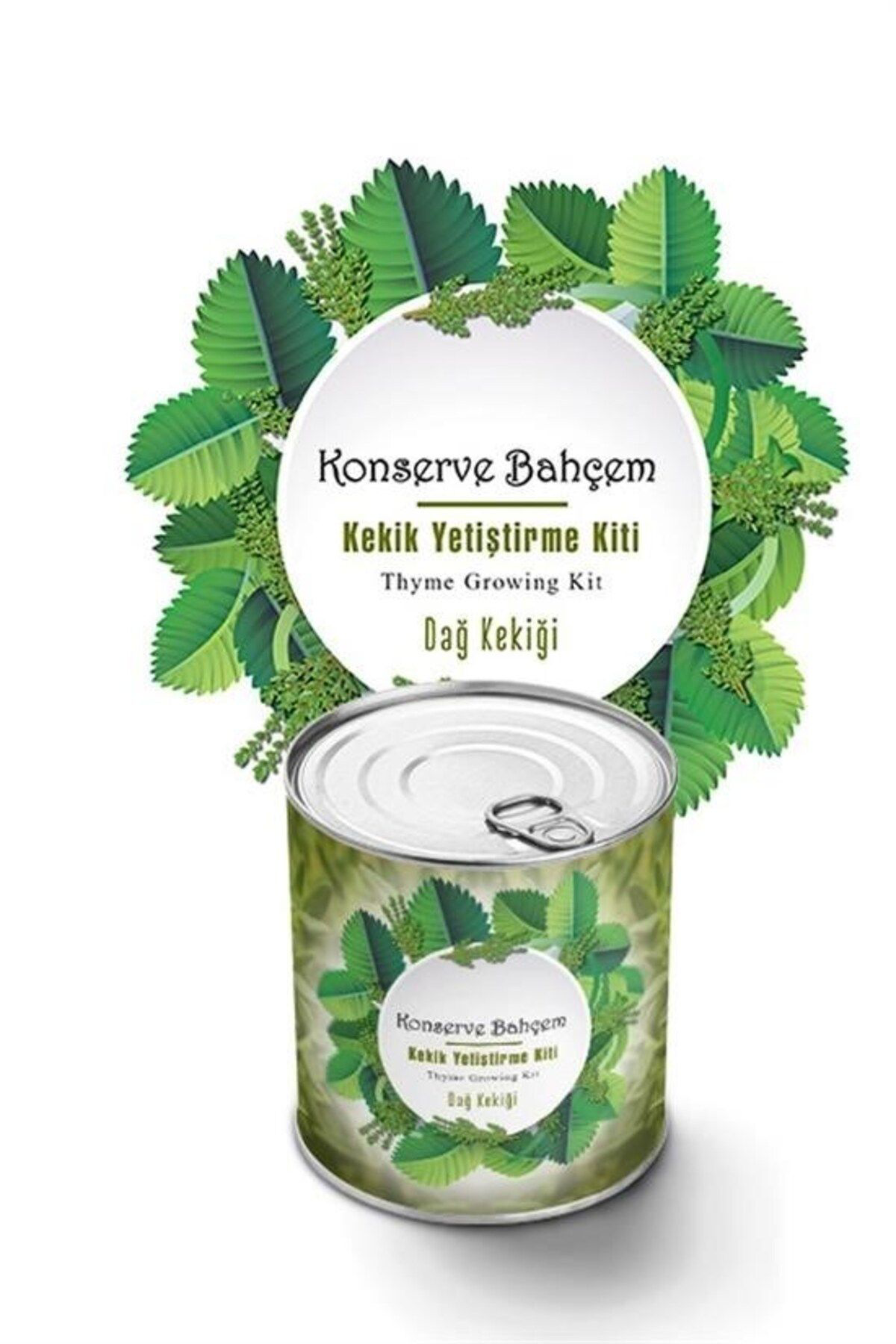 Acousticworld ® Konserve Bahçem Evde Konservede Kekik Dağ Kekiği Yetiştirme Kit