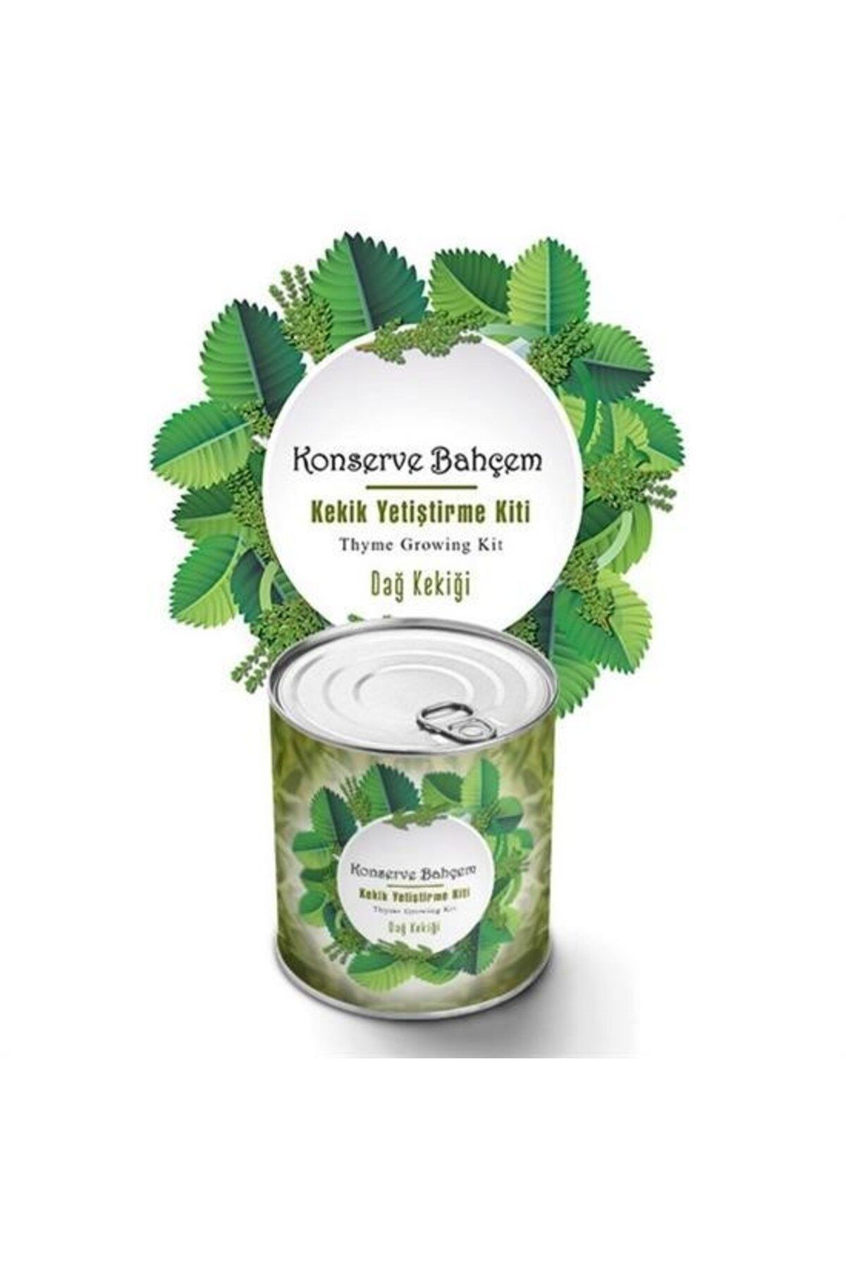 Acousticworld ® Konserve Bahçem Evde Konservede Kekik Dağ Kekiği Yetiştirme Kit