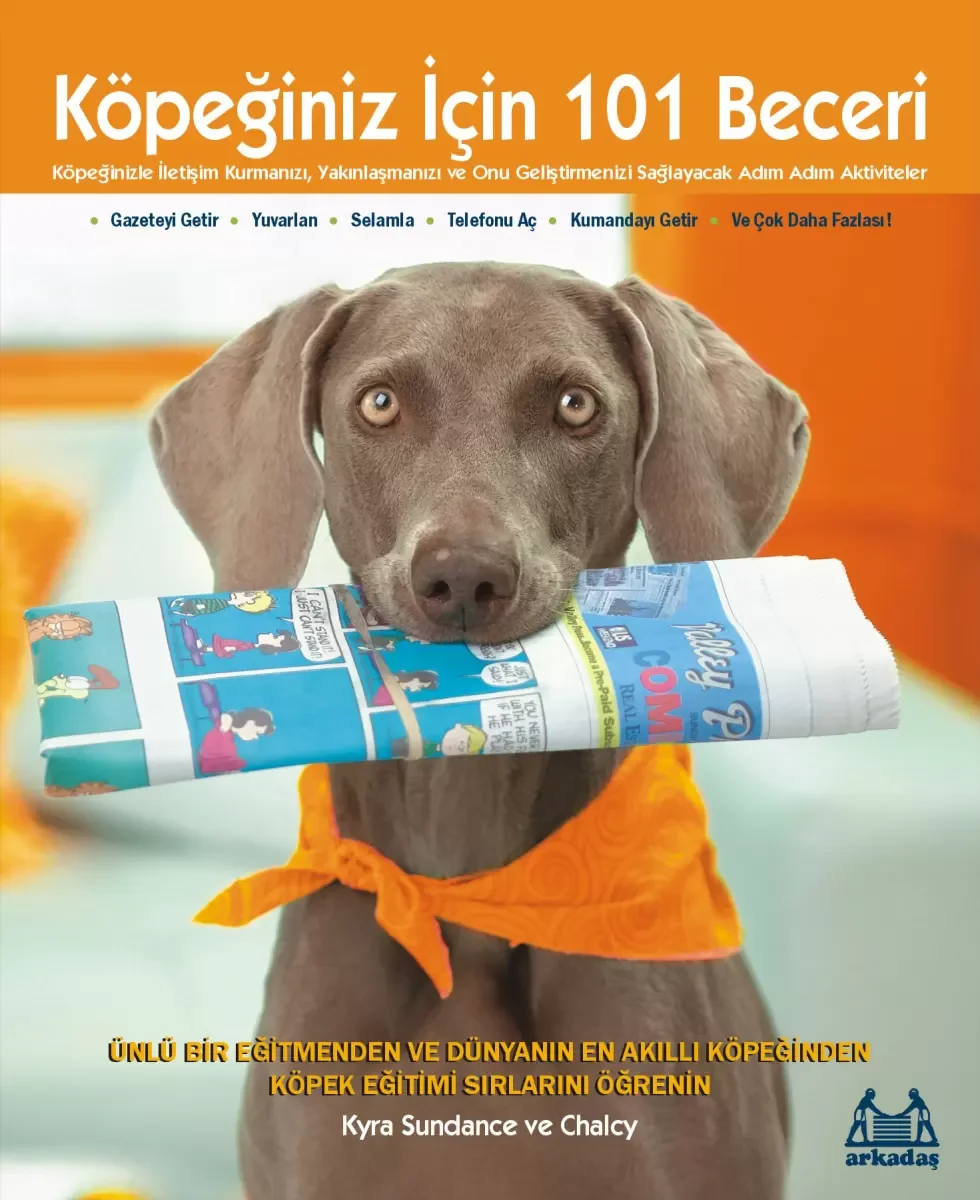 Köpeğiniz İçin 101 Beceri - Adım Adım Aktiviteler Fiyatı, Yorumları ve Özellikleri