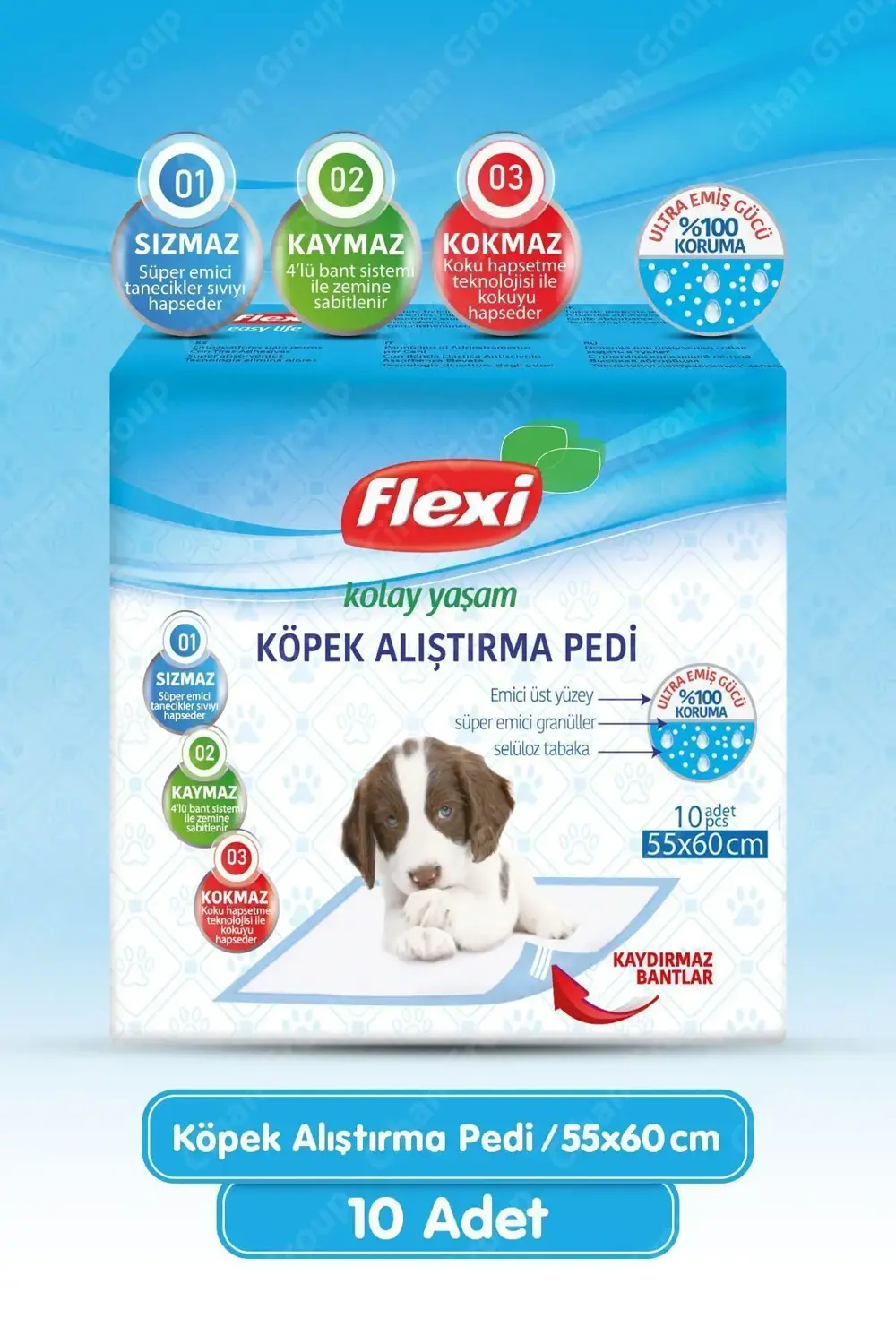 Köpek Alıştırma Çiş Pedi - 55x60cm 10lu Paket