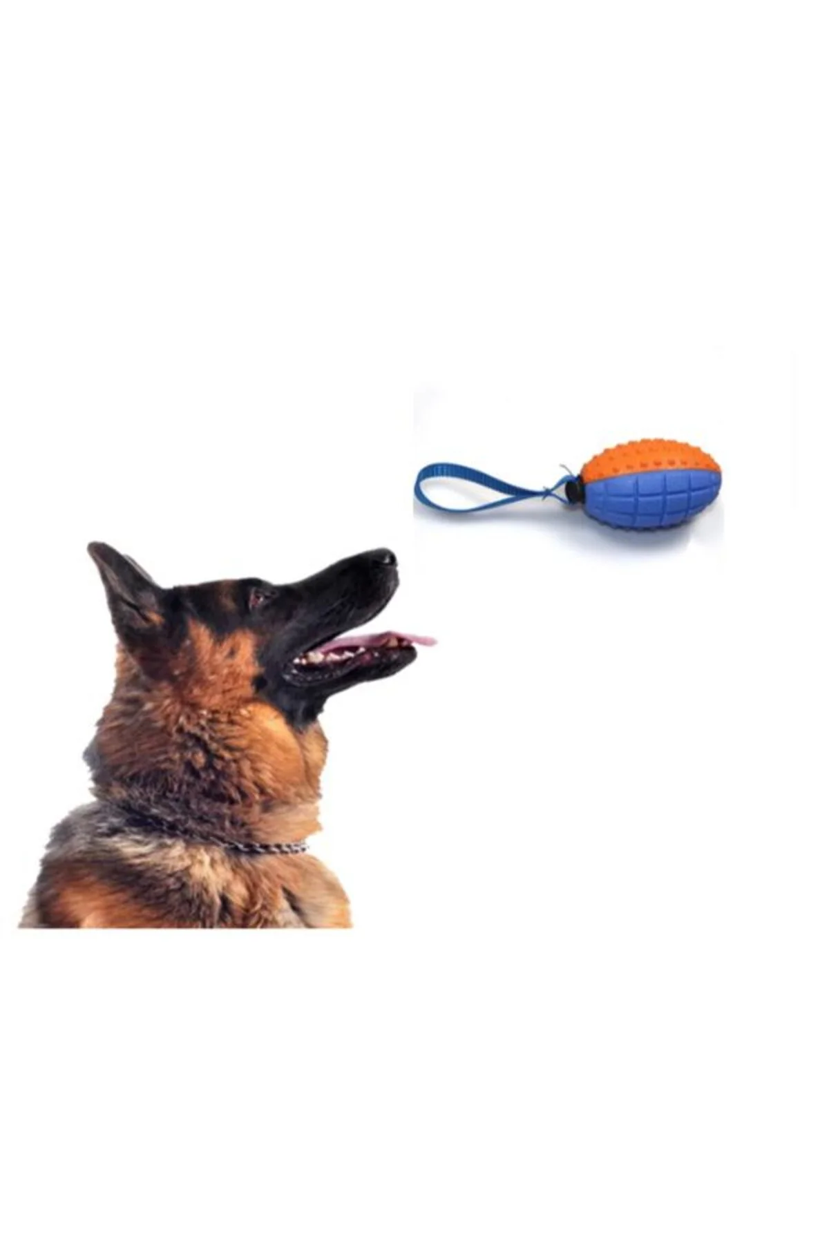 Köpek Diş Kaşıma Oyun Topu Eğlenceli Ürünler Keyifli Vakit Oyuncak Top - Görsel 3