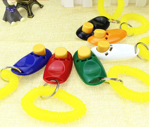 Köpek Eğitimi İçin Pratik Clicker