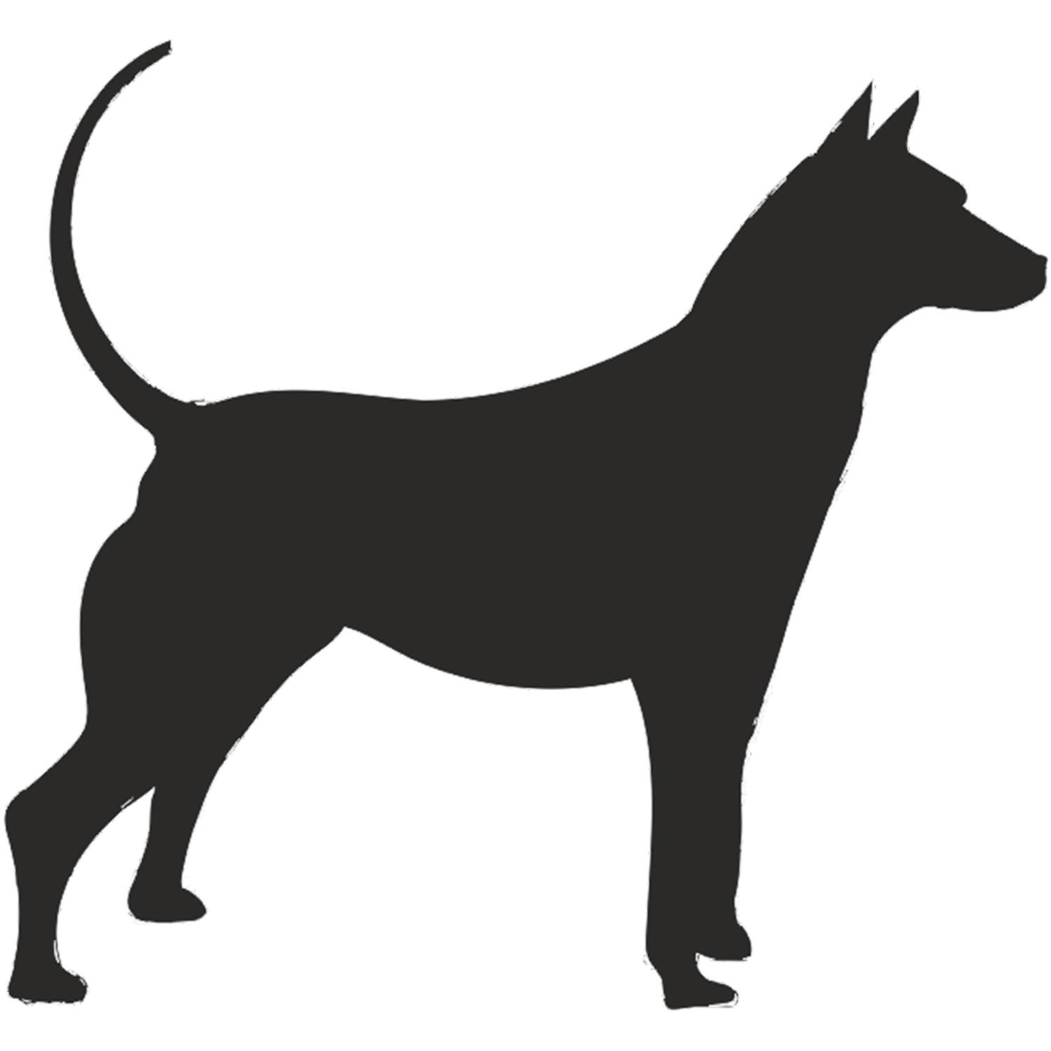 KÖPEK FOLYO STİCKER KÖPEK FOLYO STİCKER