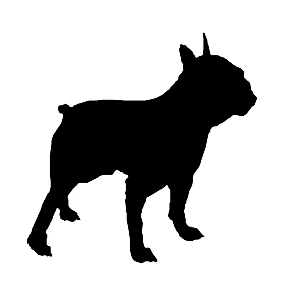 KÖPEK FOLYO STİCKER DERSTV878 KÖPEK FOLYO STİCKER DERSTV878