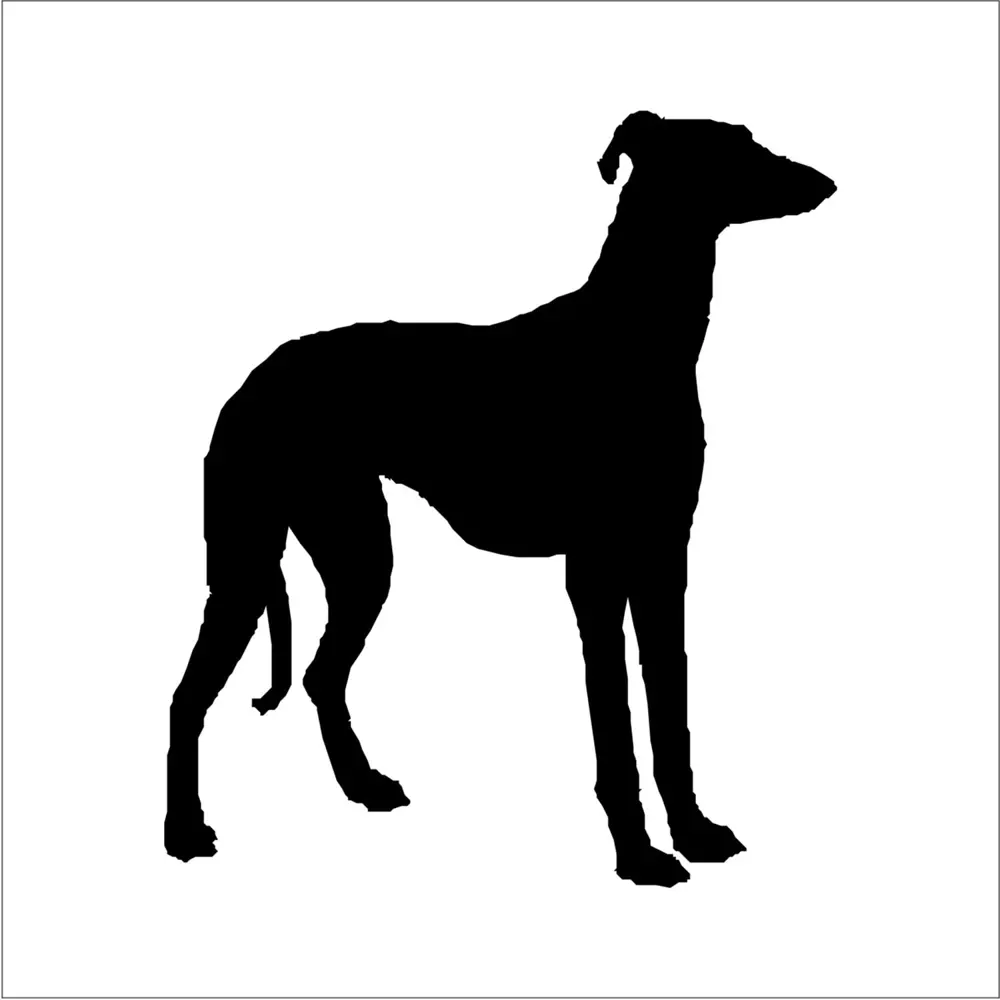 KÖPEK FOLYO STİCKER DERSTV879 KÖPEK FOLYO STİCKER DERSTV879