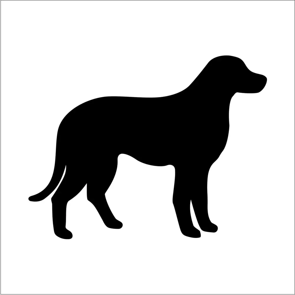 KÖPEK FOLYO STİCKER DERSTV880 KÖPEK FOLYO STİCKER DERSTV880