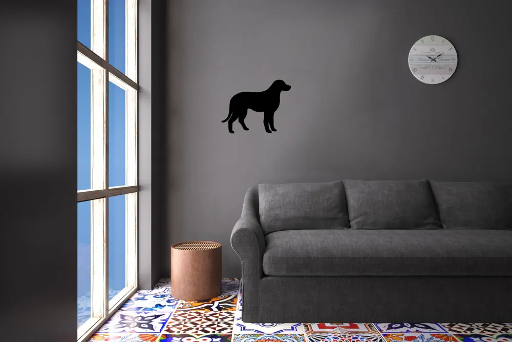 KÖPEK FOLYO STİCKER DERSTV880 KÖPEK FOLYO STİCKER DERSTV880