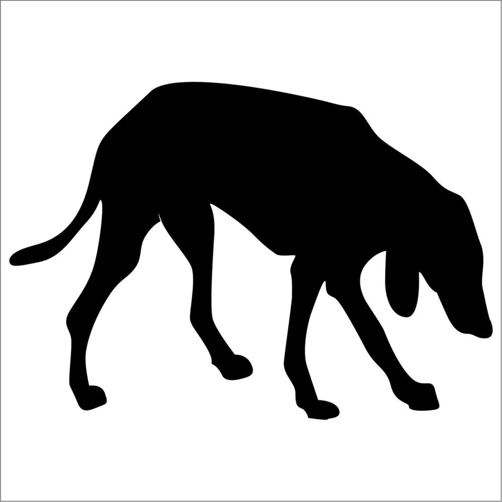 KÖPEK FOLYO STİCKER DERSTV889 KÖPEK FOLYO STİCKER DERSTV889